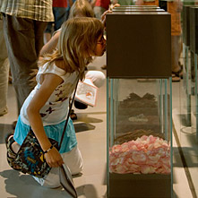 A girl sniffs on an exhibit with rose blosoms