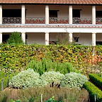 Parts of the herb garden of the Roman Hostel.