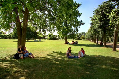 Besucherinnen und Besucher entspannen auf einer der weitläufigen Wiesen im Park. 