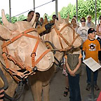 A group of visitors in the themed pavilion "Travel & traffic"