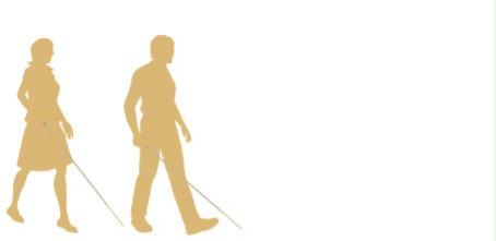 Visually impaired person logo