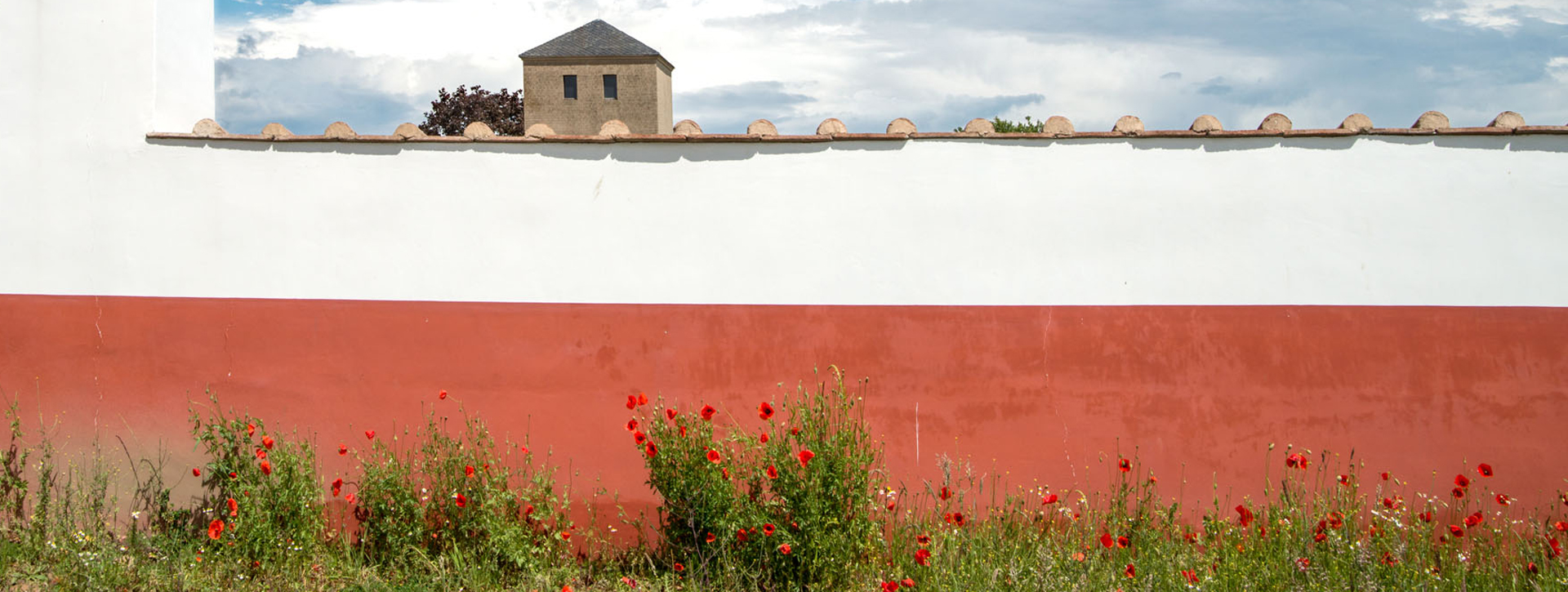 Wild flowers at the craftmens' houses 