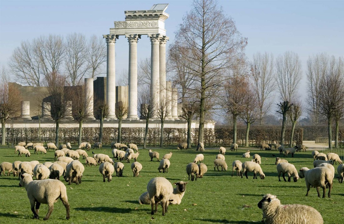 Eine Herde Schafe vor dem Hafentempel