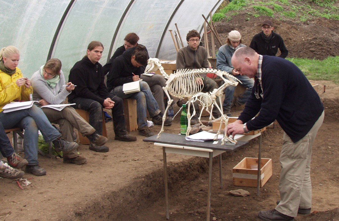 Eine Reihe von sechs Studierenden sitzen in einem Grabungszelt einem älteren Mann gegenüber, der anhand eines präparierten Hundeskeletts Erläuterungen vornimmt